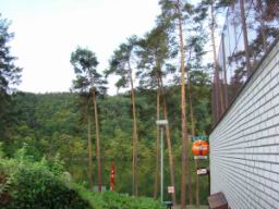 Resize of DSC00921.JPG